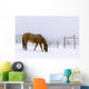 Horses Wall Mural