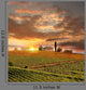 Chianti Vineyard Landscape Tuscany