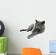 British Shorthair cat, isolated on a white background Wall Decal