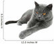 British Shorthair cat, isolated on a white background Wall Decal