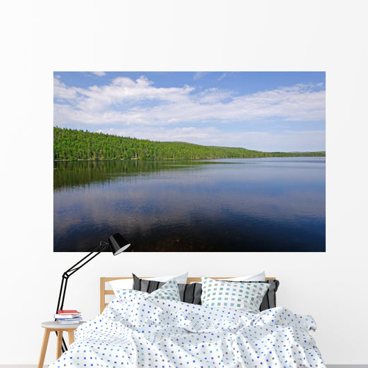 Wilderness Lake Summer Day