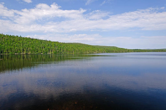 Wilderness Lake Summer Day