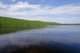 Wilderness Lake Summer Day