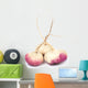 turnip Wall Decal