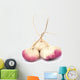 turnip Wall Decal
