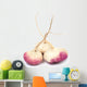 turnip Wall Decal