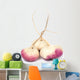 turnip Wall Decal