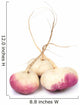 turnip Wall Decal