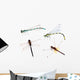 four color dragonflies on white background Wall Decal