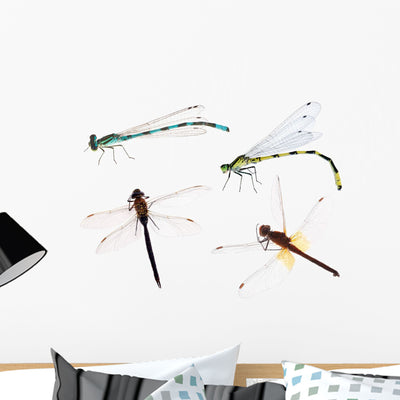 Four Color Dragonflies Wall Stickers shown on a wall