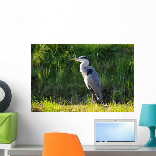 Heron Wall Mural
