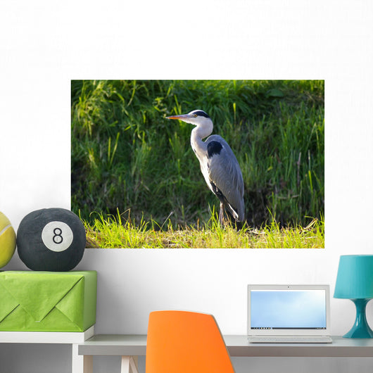Heron Wall Mural