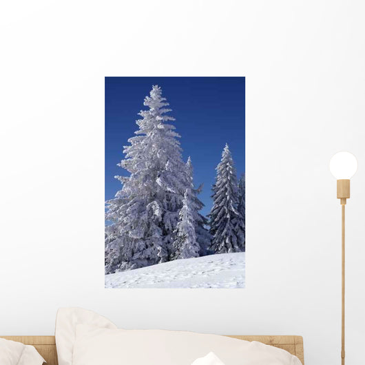 Winter Pine Trees Wall Decal