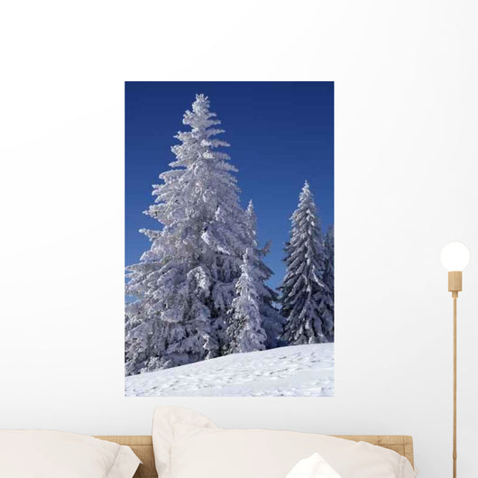 Winter Pine Trees Wall Decal