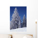 Winter Pine Trees Wall Decal