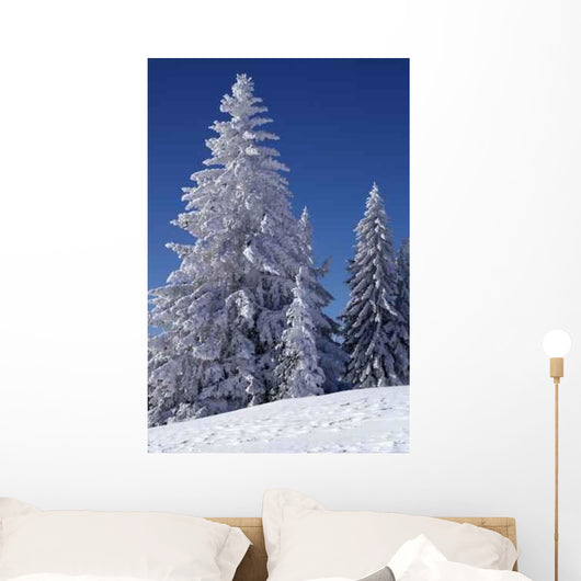 Winter Pine Trees Wall Decal