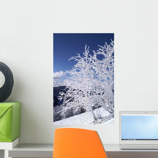 Winter Landscape Wall Decal