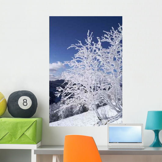 Winter Landscape Wall Decal
