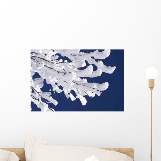 Schneebedeckte Zweige Wall Decal