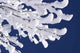 Schneebedeckte Zweige Wall Decal