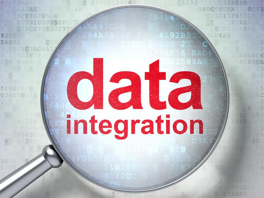 Information concept: optical glass with words Data Integration Wall Mural