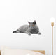 Grey Cat Wall Decal