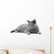 Grey Cat Wall Decal