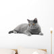 Grey Cat Wall Decal