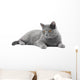 Grey Cat Wall Decal