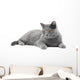 Grey Cat Wall Decal