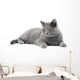 Grey Cat Wall Decal