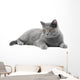 Grey Cat Wall Decal