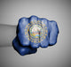 United States Fist with Wall Mural