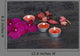 Orchidee Mit Teelichtern