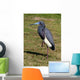 Blue Heron Wall Mural