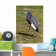 Blue Heron Wall Mural