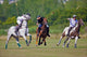 Horse Polo Player