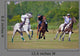 Horse Polo Player