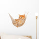 Cute Red-haired Kitten Hammock