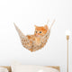 Cute Red-haired Kitten Hammock