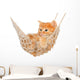 Cute Red-haired Kitten Hammock