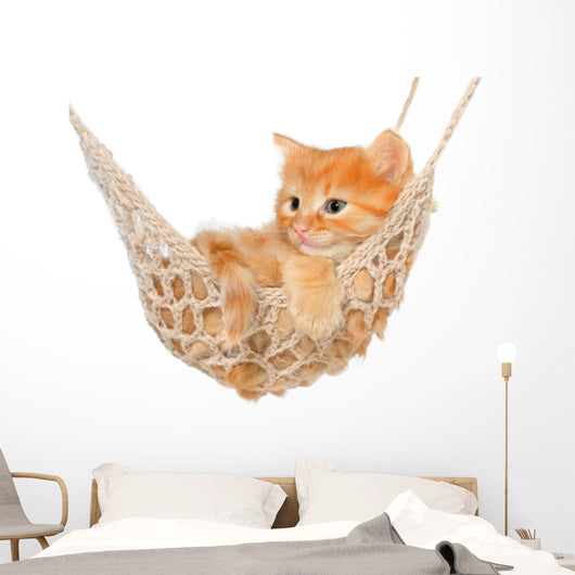 Cute Red-haired Kitten Hammock