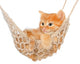 Cute Red-haired Kitten Hammock