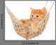 Cute Red-haired Kitten Hammock