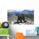 Bergsteigen Den Alpen Wall Decal