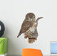 Pygmy Owl Glaucidium Passerinum