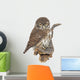 Pygmy Owl Glaucidium Passerinum