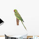 Rose-ringed Parakeet Psittacula Krameri Wall Decal