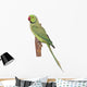 Rose-ringed Parakeet Psittacula Krameri Wall Decal