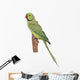 Rose-ringed Parakeet Psittacula Krameri Wall Decal